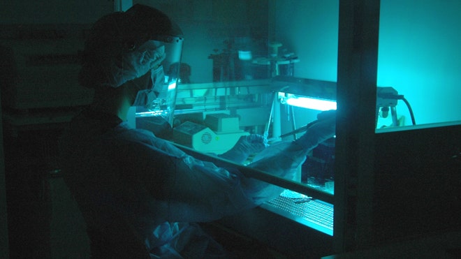 Denisovan genome sequenced e.jpg